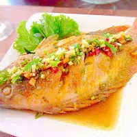 蒸し魚 Lemon Steamed Fish ✔