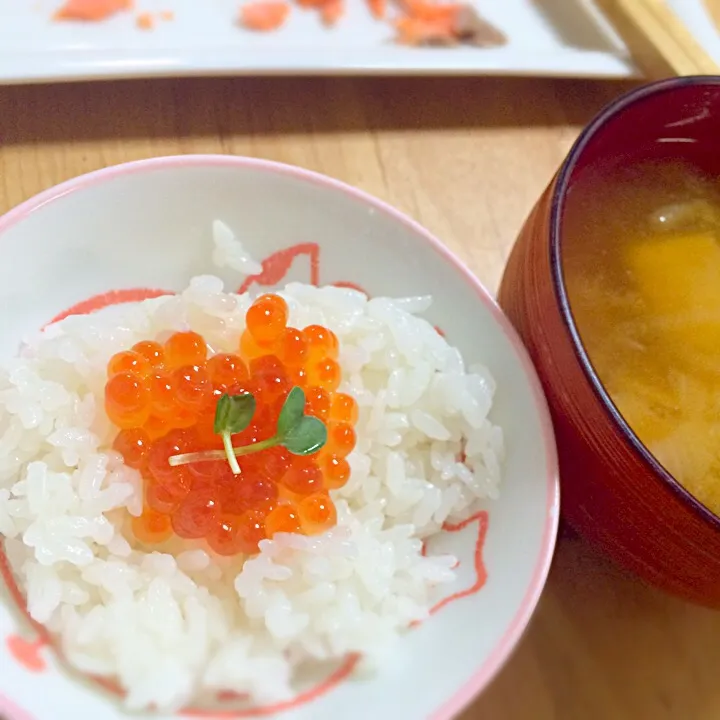 怒りのいくらご飯|ちーさん