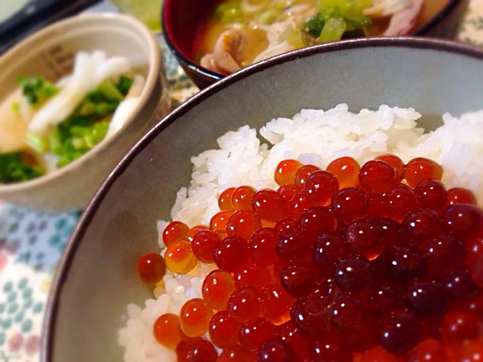 Snapdishの料理写真:いくら丼|ショコラさん