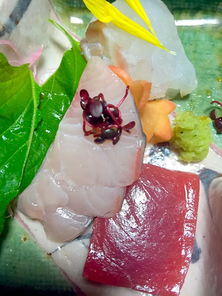 Sashimi|meraflorさん