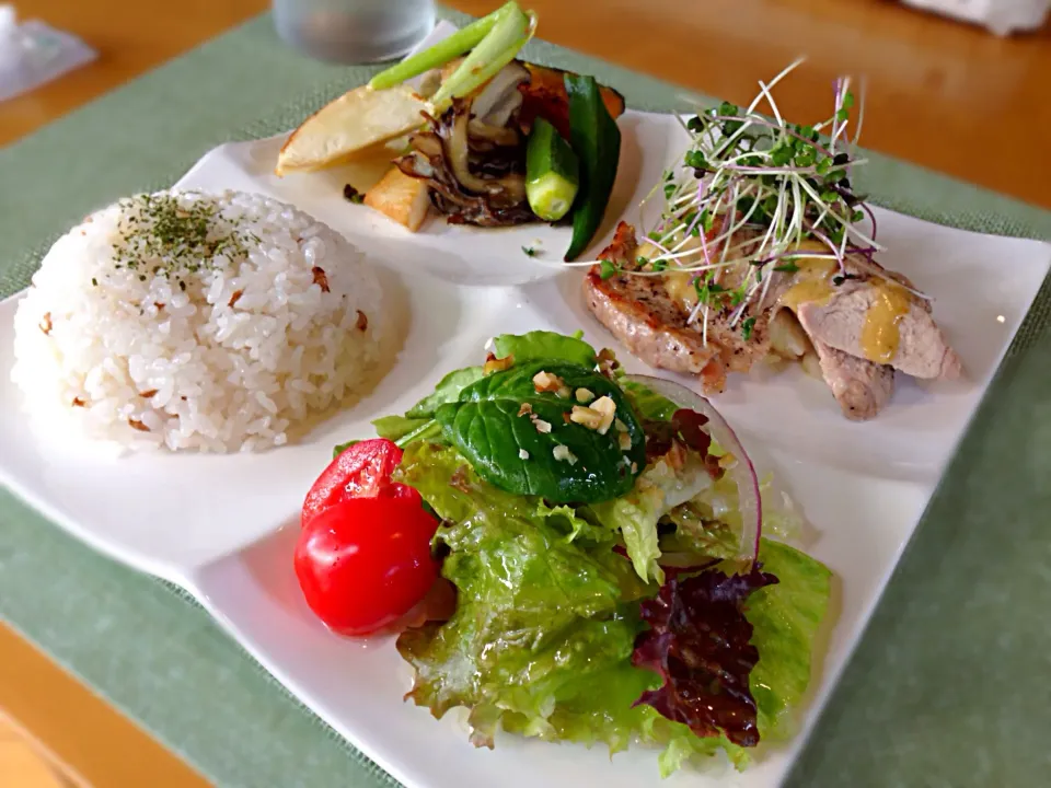 本日のおまかせプレートランチ|こいちさん