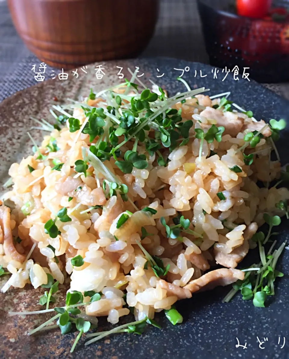 Snapdishの料理写真:しょうゆが香る！牛肉と青ねぎのシンプル炒飯 | Happy Recipe（ヤマサ醤油のレシピサイト）|みどりさん