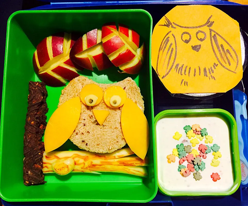 Owl Bento and Snacks|Cheryl Melnickさん