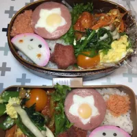 Snapdishの料理写真:11月4日(水) 高校生女子＆オレ弁当