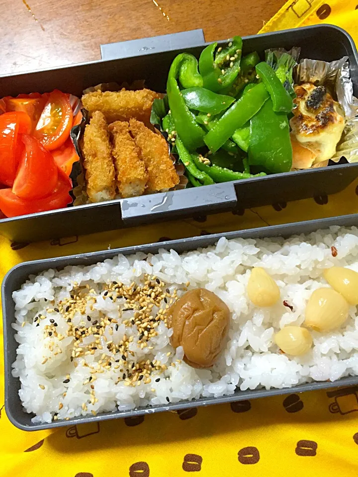 Snapdishの料理写真:いつもの🍱|角田　恭子さん