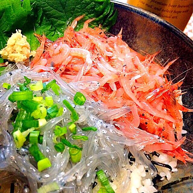 生桜えび丼 生しらす丼 静岡 駿河湾 焼津 大井川港産 ガク魁 男飯 Snapdish スナップディッシュ Id Ufdwua