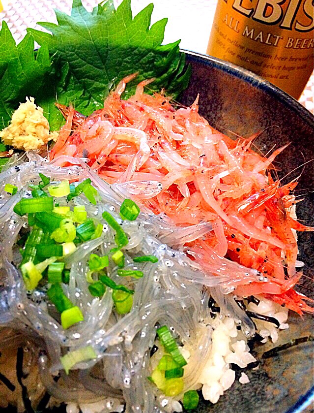 生桜えび丼 生しらす丼 静岡 駿河湾 焼津 大井川港産 ガク魁 男飯 Snapdish スナップディッシュ Id Ufdwua