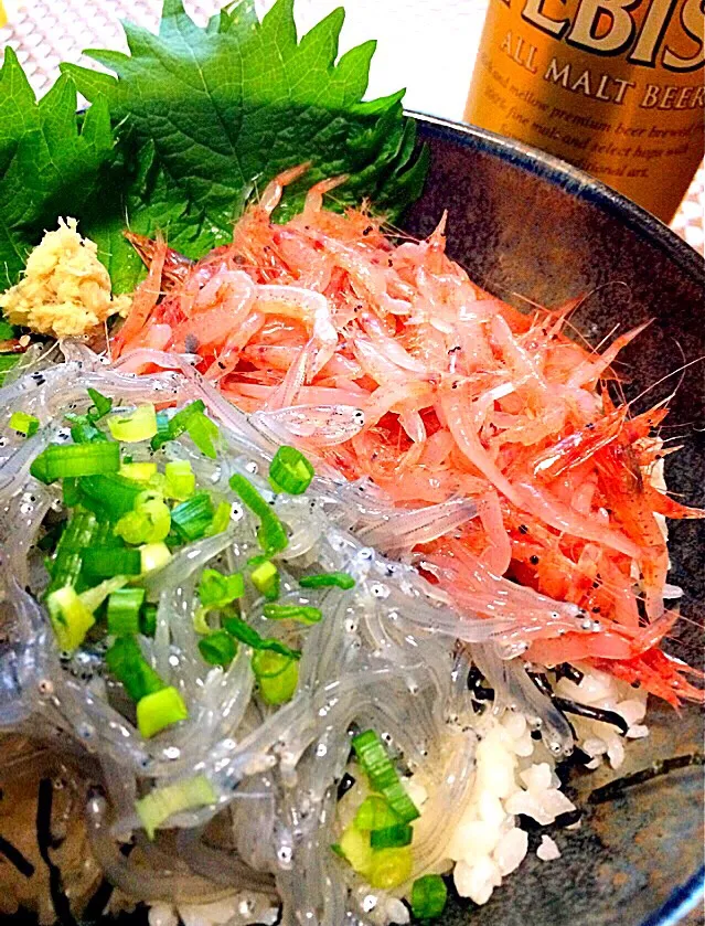 生桜えび丼 生しらす丼 静岡/駿河湾 焼津/大井川港産|ガク魁‼︎男飯さん