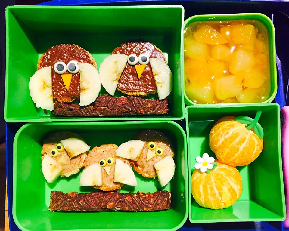 Owl Bento|Cheryl Melnickさん