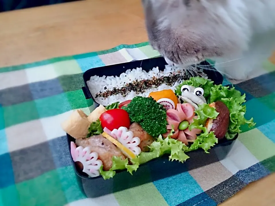 ガーリックチキンソテー弁当。|Cat Miroさん