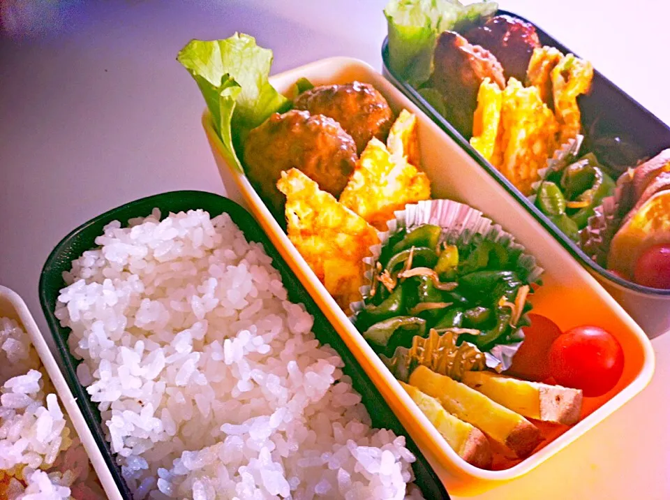 今日のお弁当 11月5日（木）|まきしゅさん