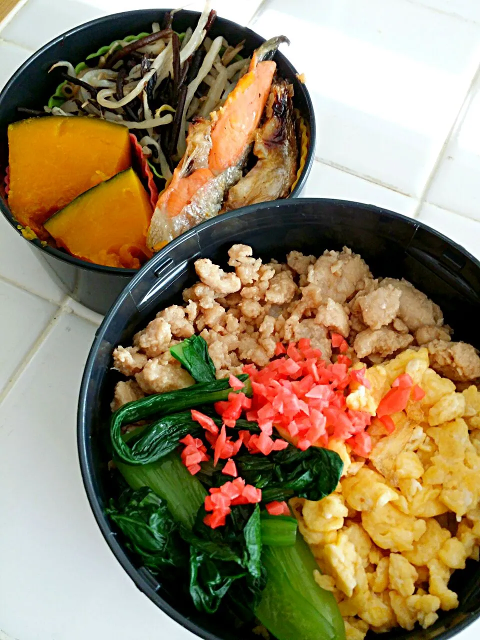 だんな弁当 三色丼/もやしとひじきナムル/塩鮭/かぼちゃ煮物/|lotusさん