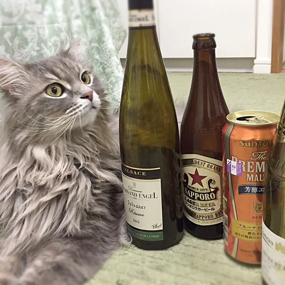 Snapdishの料理写真:これは明らかに飲み過ぎじゃない？|リュカさん