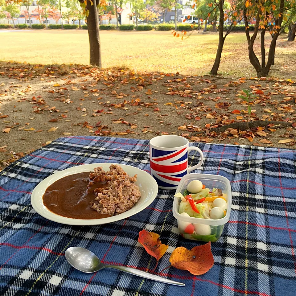 ピクニック・ランチ♬ (▰˘◡˘▰)☝︎|Yoshinobu Nakagawaさん