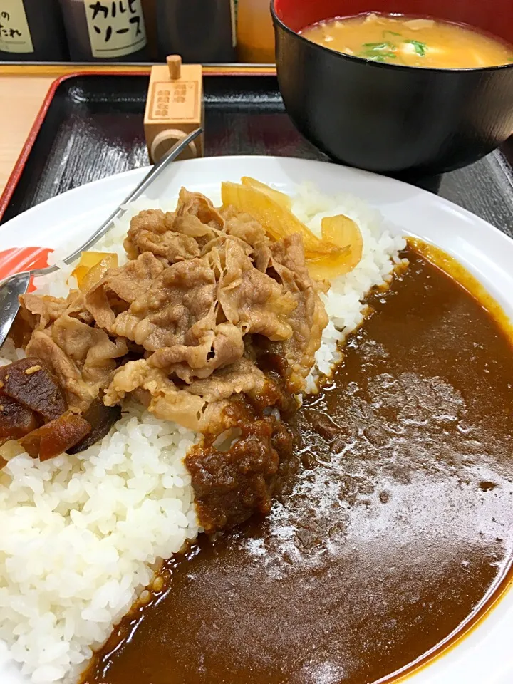 ข้าวแกงเนื้อ カレギュウ@ที่ญี่ปุ่น 松屋|akiさん