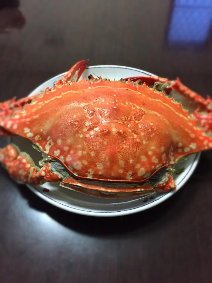 今夜の夕食（蟹）🦀|じゅごんさん