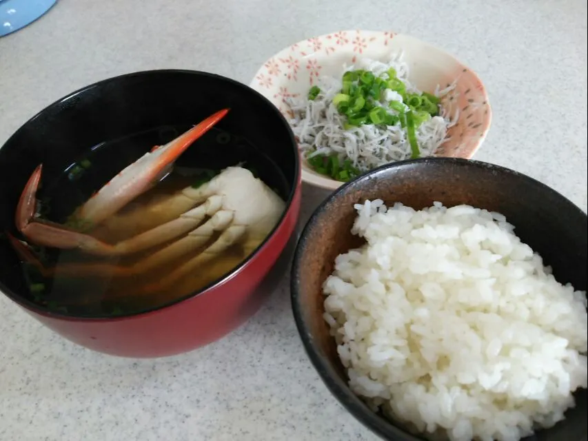 釜揚げしらすとワタリガニの味噌汁で朝ごはん|kamekameさん