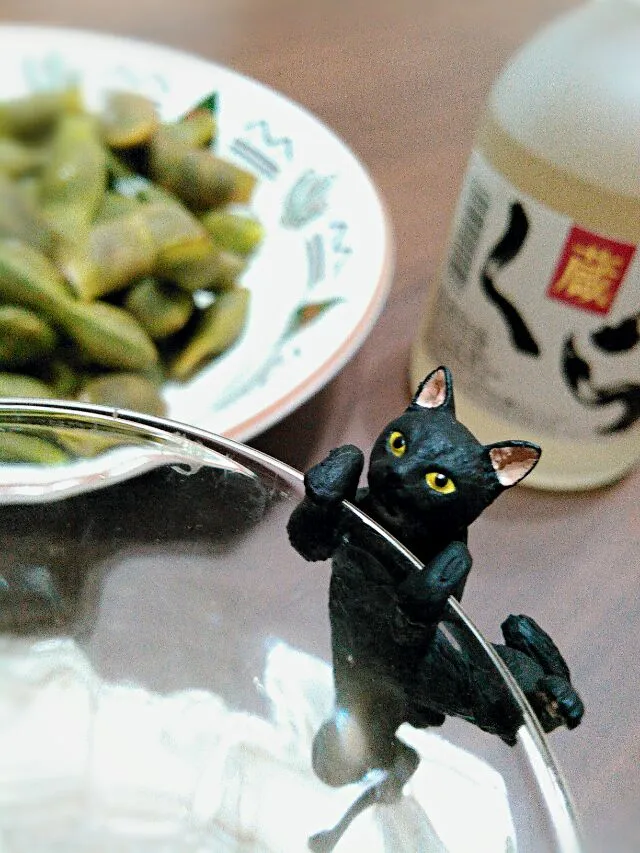 ふちねこと黒豆の枝豆とくら|shoconicさん