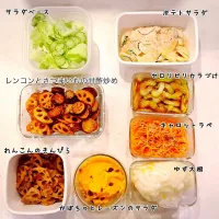 Snapdishの料理写真:常備菜