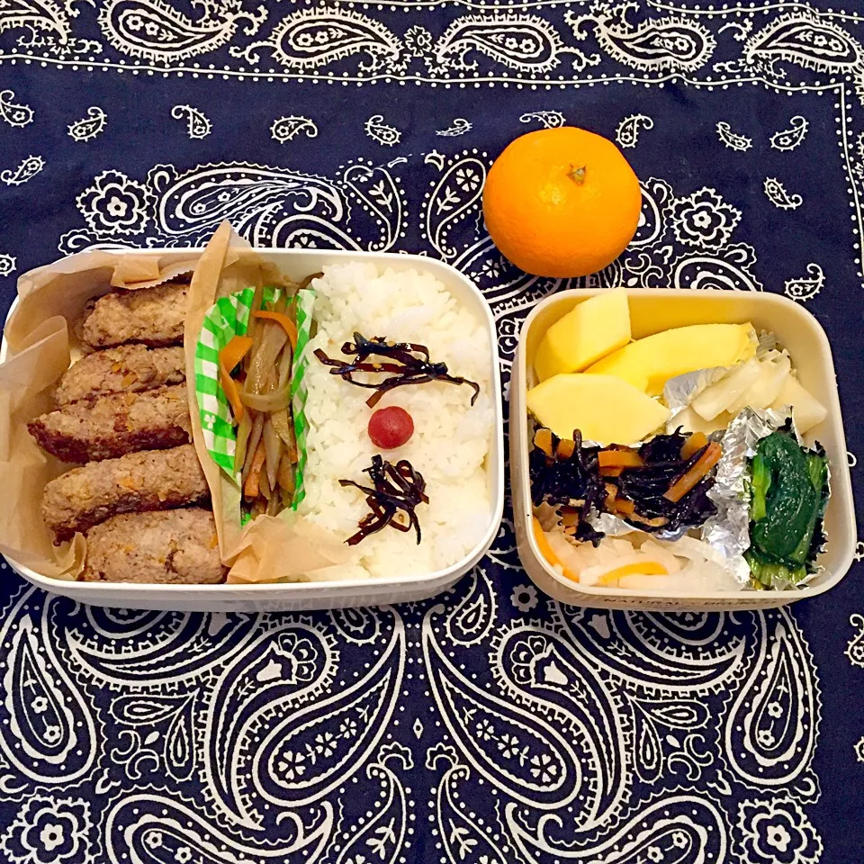 Snapdishの料理写真:ハンバーグ弁当|とにおさん