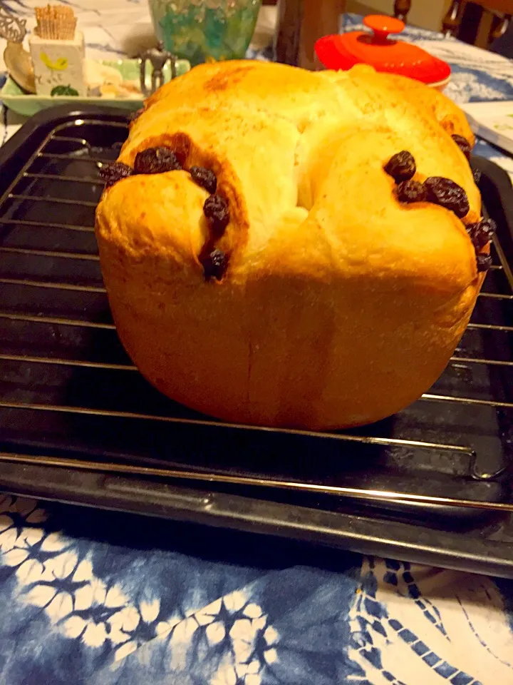 シナモンロール🍞焼けました❤️(∗❛ั॒ ູ॒❛ั∗)|さくたえさん