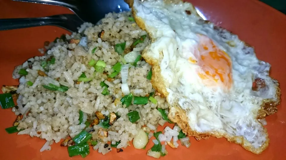 fried rice 🌾 with garlic|mrbonglhaさん