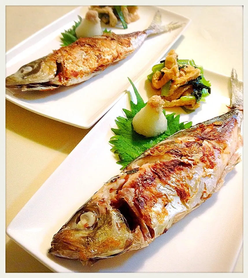 アジの塩焼き。Salt-grilled Horse mackerel|toyamadaさん