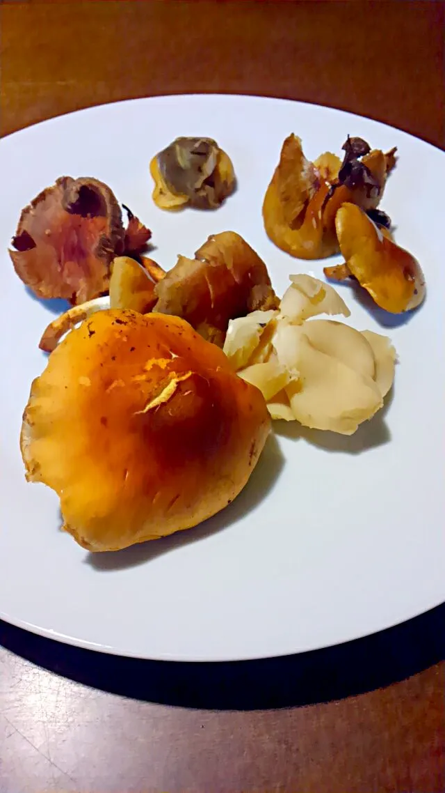 Snapdishの料理写真:クリタケ、ウスヒラタケ、ナメコ、🍄🍄🍄|プロフーモさん