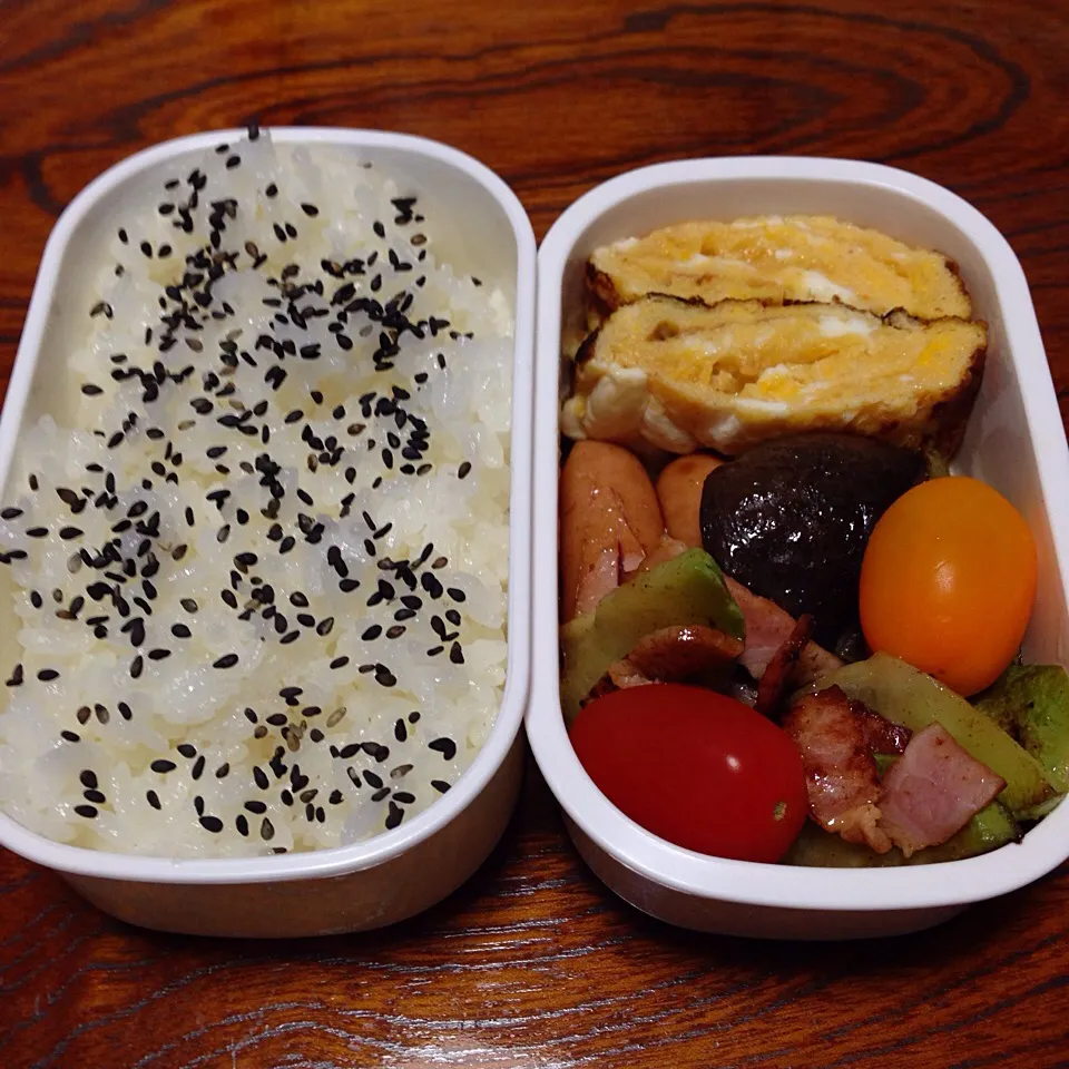 11/11のお弁当|どくきのこさん