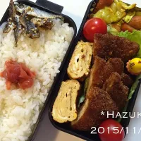 Snapdishの料理写真:11/11(水)高校生息子弁当🍱🍱