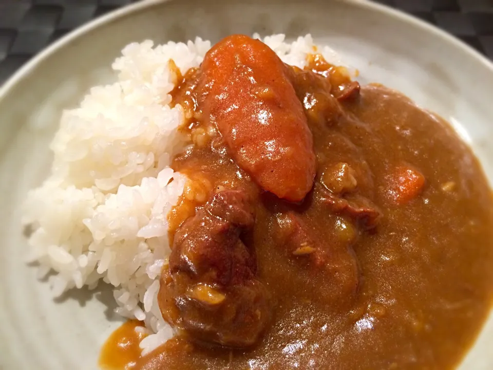 ごく普通のカレーライスだけど、うまい！
明日も楽しみ。

実は晩飯後なので、おしとやかな盛り （＾∇＾）|doc3387さん