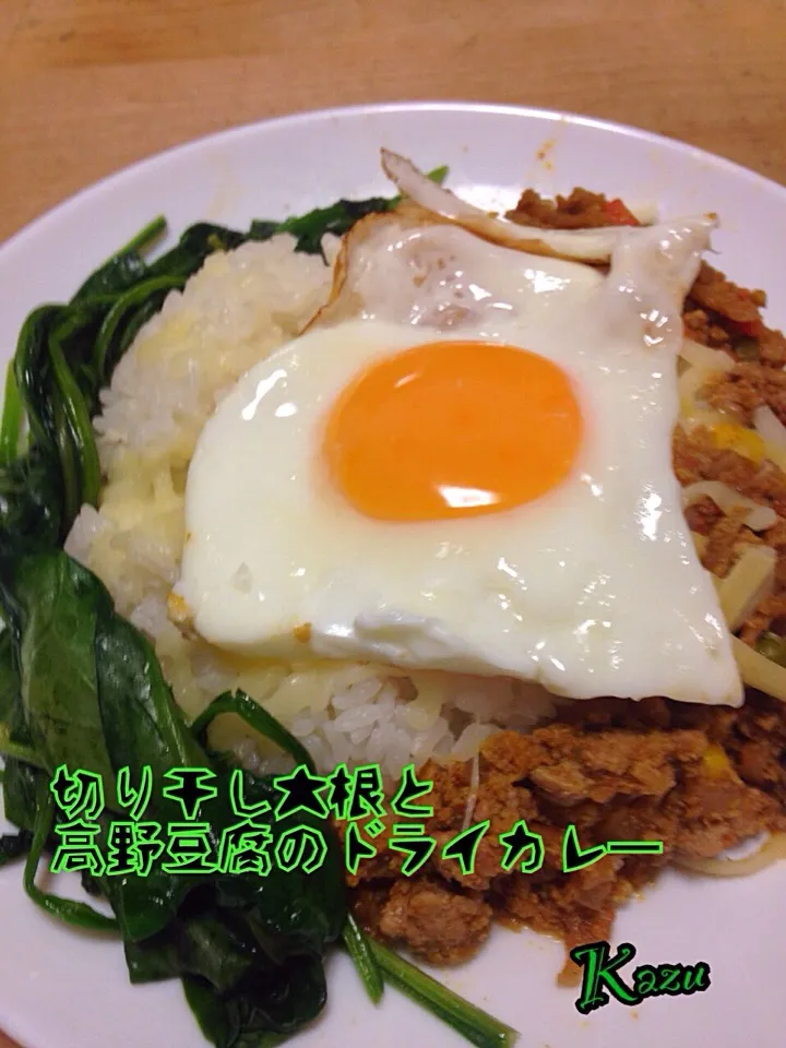 Snapdishの料理写真:切り干し大根と高野豆腐のドライカレー|かずきっちんさん