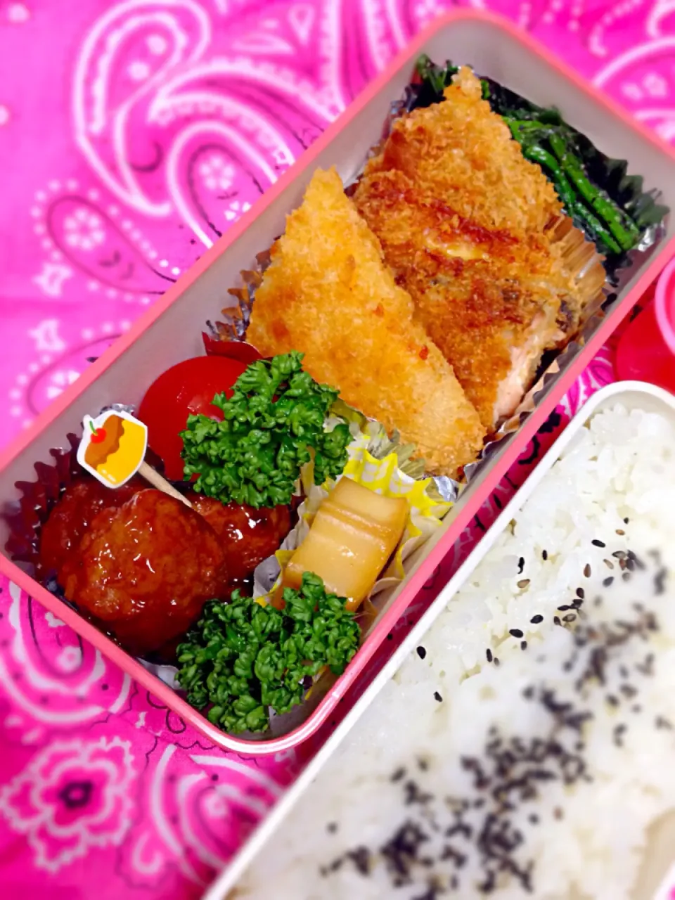 Snapdishの料理写真:お弁当|かりんかさん