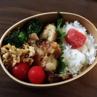 Snapdishの料理写真:曲げわっぱ弁当|ふらさん