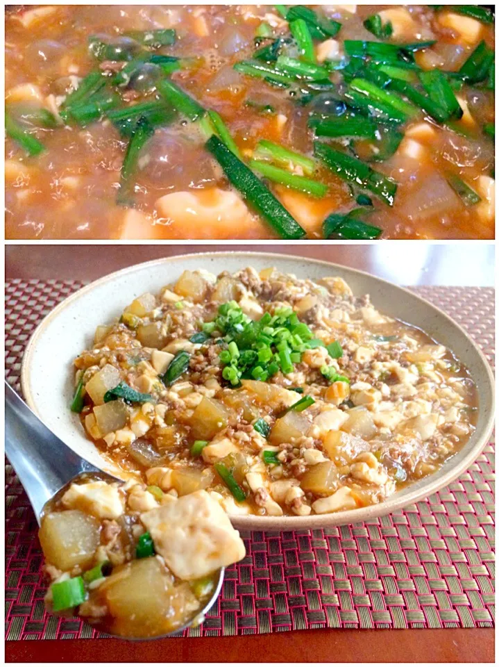 Snapdishの料理写真:Sichuan style bean curd&radish(Mapo Tofu) 🇨🇳大根入り生姜たっぷり麻婆豆腐|🌈Ami🍻さん