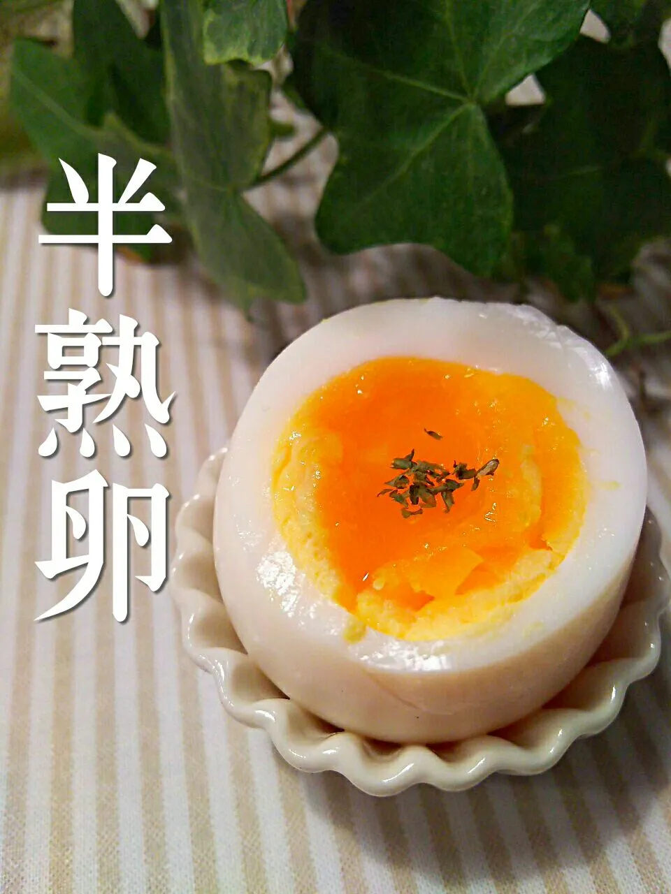 soft boiled egg!!|和田 匠生さん