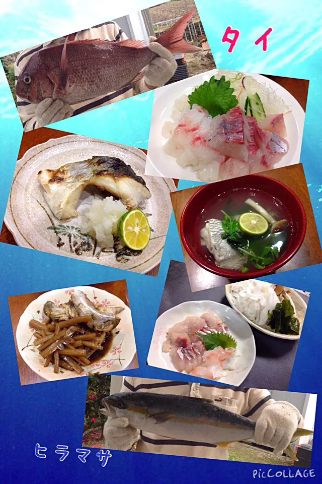 Snapdishの料理写真:友達の釣果でご馳走|sakuramochiさん