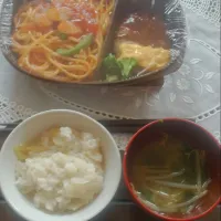 お昼ご飯|柴犬ももさん