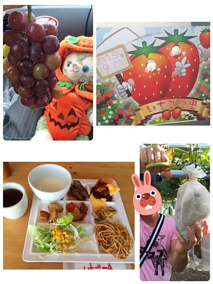 9/23は小山のいちごの里でぶどう狩り🍇|みきぴょん♪さん