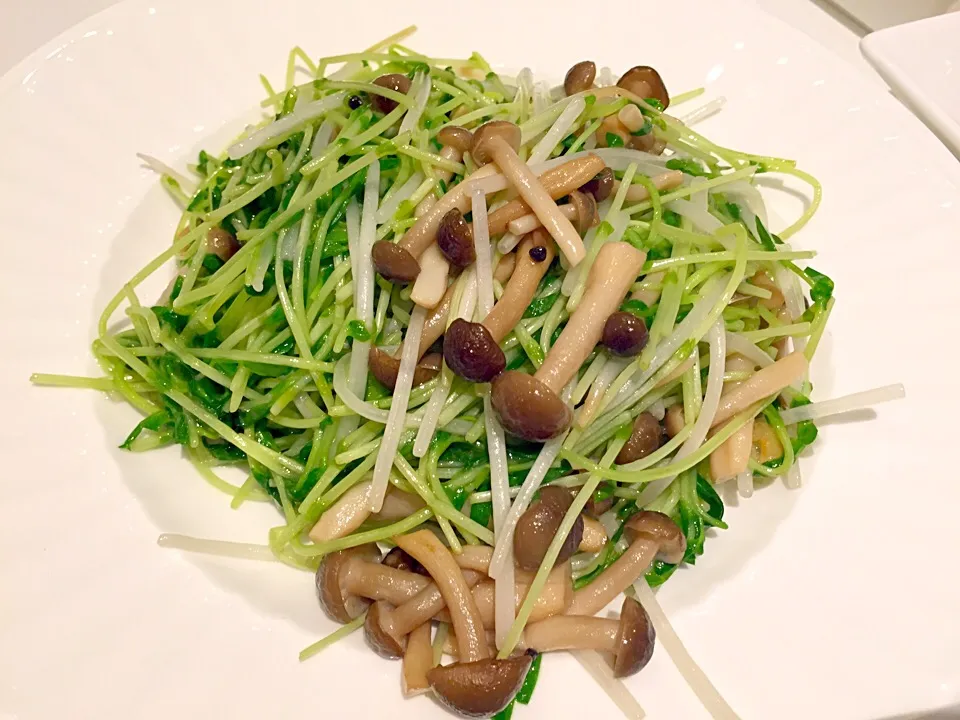 Sautéed assorted mushrooms with pea sprouts|Sky Blueさん