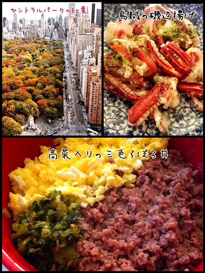 Snapdishの料理写真:🌃晩御飯🌃|erisさん