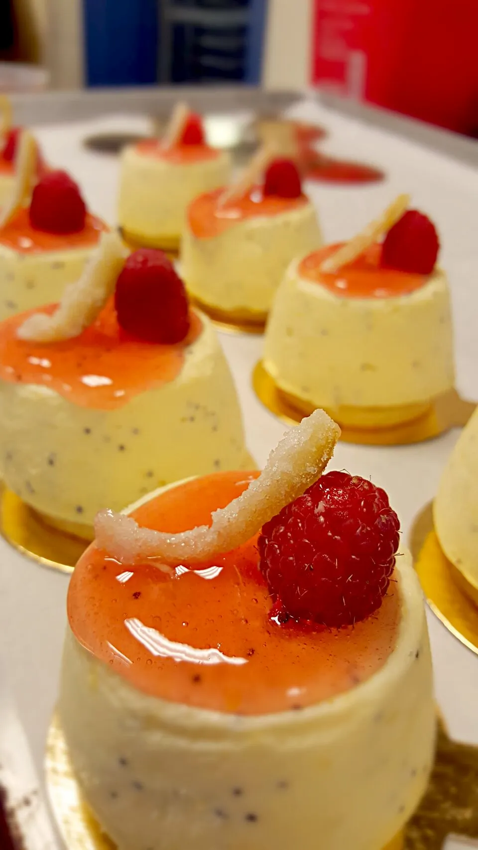 Lemon poppy seed cheesecake w/ raspberry coulis|Zachary Portolanoさん