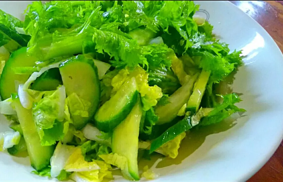 白菜をたくさん頂いたので…💕
白菜＆わさび葉＆胡瓜のグリーンサラダ💚ﾋﾟﾘ辛胡麻ドレッシングで…😋|メイメイda.さん