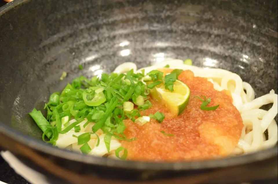 奈良で食べたおろしうどん(๐^╰╯^๐)♬|マカロンさん