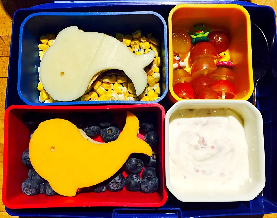 Whale Bento Lunch with hidden surprise 2|Cheryl Melnickさん