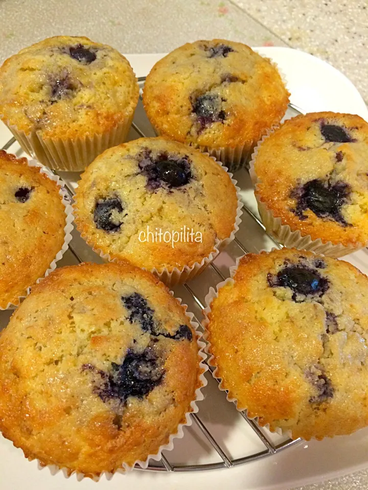 Blueberry muffins just popped out of the oven!|chitopilitaさん