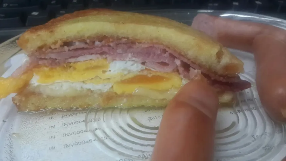 lchf panini|Simさん