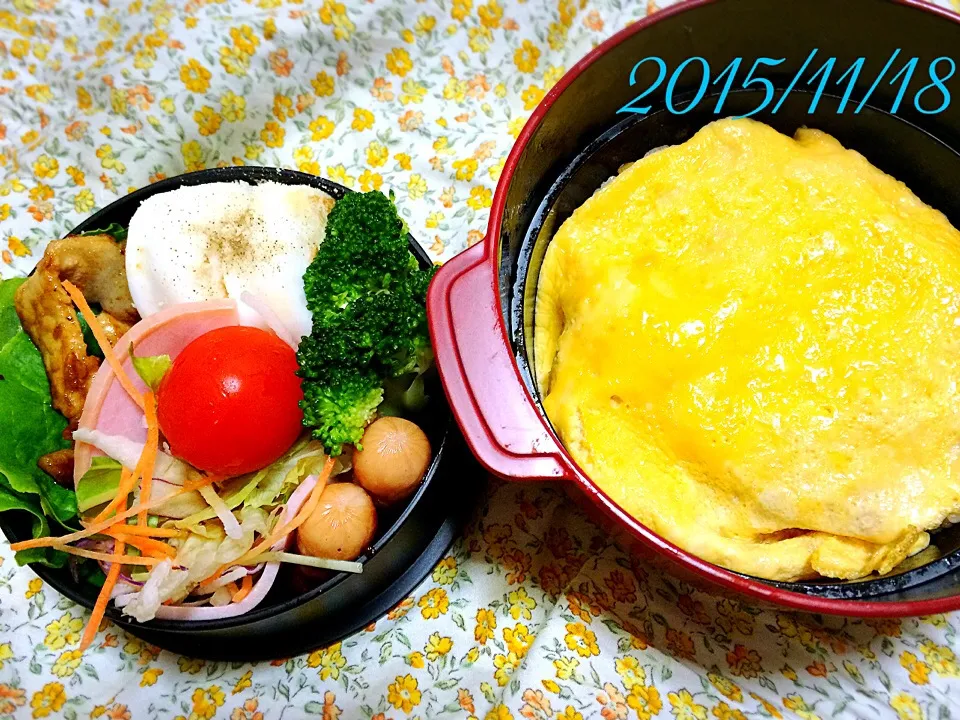 今日のお弁当◡̈⃝|shijuさん