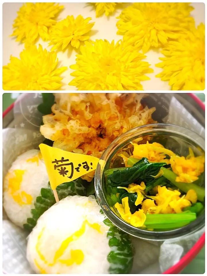 Snapdishの料理写真:🌼菊花弁当🌼|Rico mamaさん