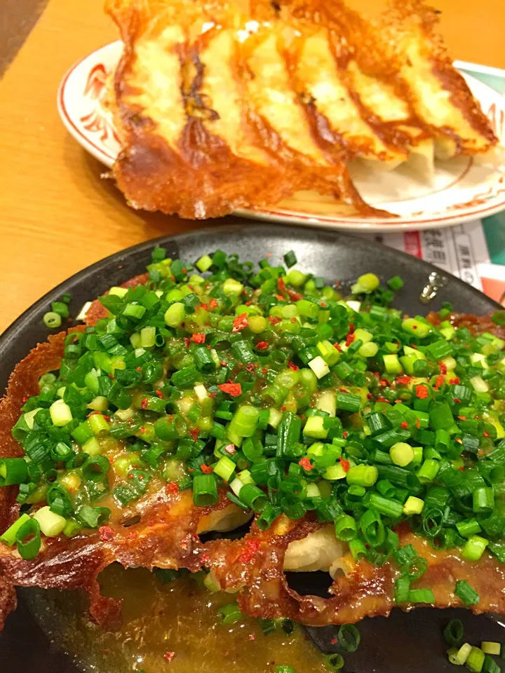 Snapdishの料理写真:宇都宮餃子のハシゴ2 青源 パセオ店 焼き餃子、焼き餃子味噌ダレ|Hiroo  Higuchiさん